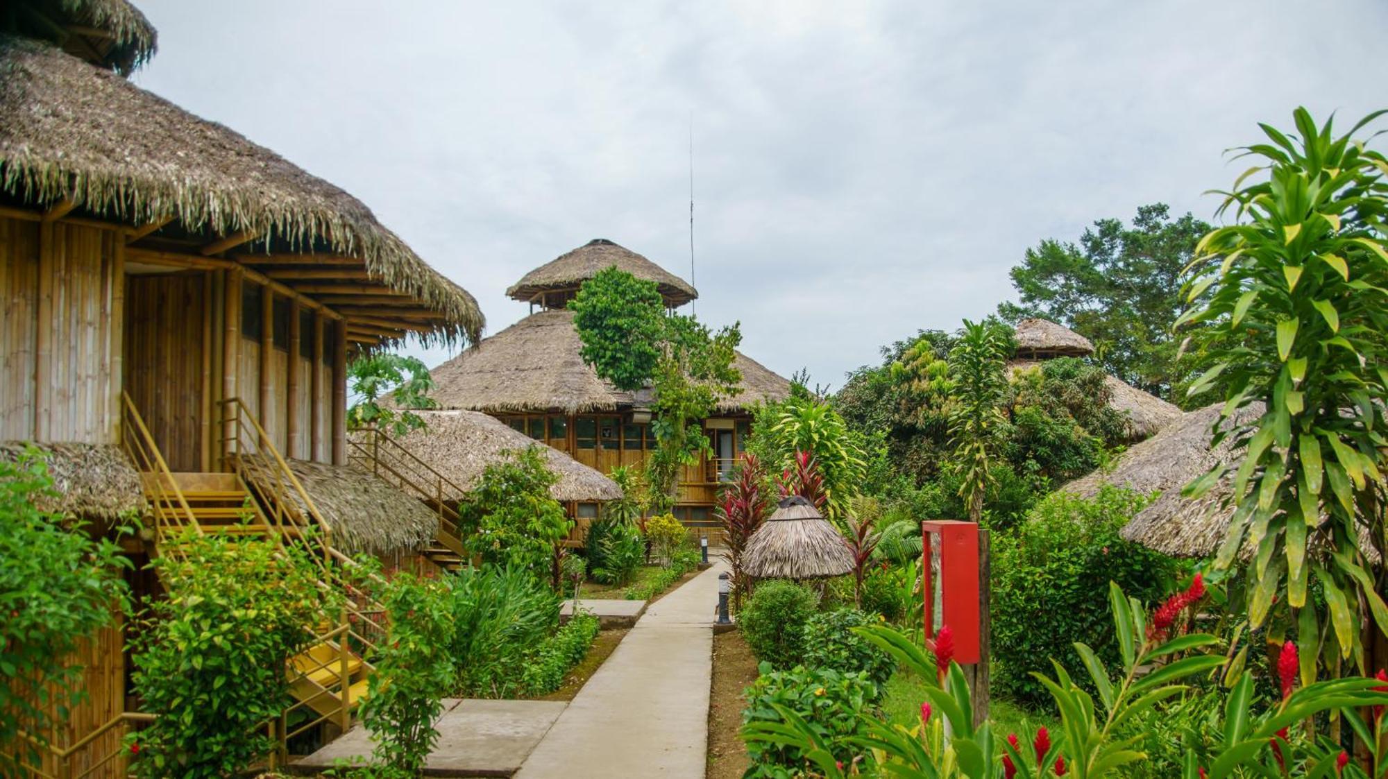La Selva Eco-Lodge & Retreat Providencia Eksteriør billede