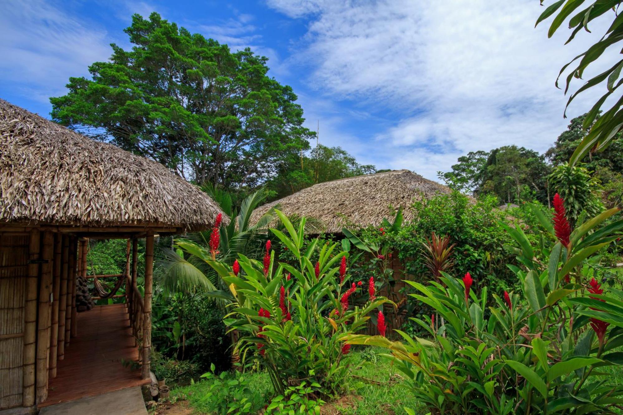La Selva Eco-Lodge & Retreat Providencia Eksteriør billede
