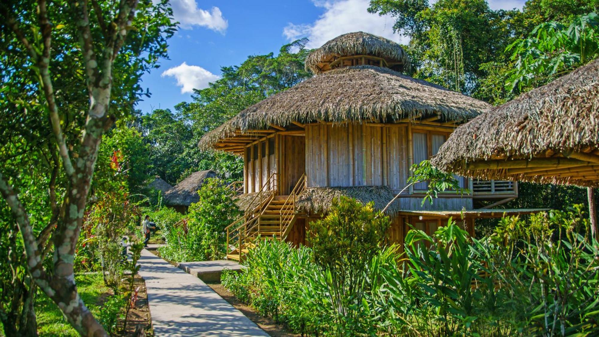 La Selva Eco-Lodge & Retreat Providencia Eksteriør billede