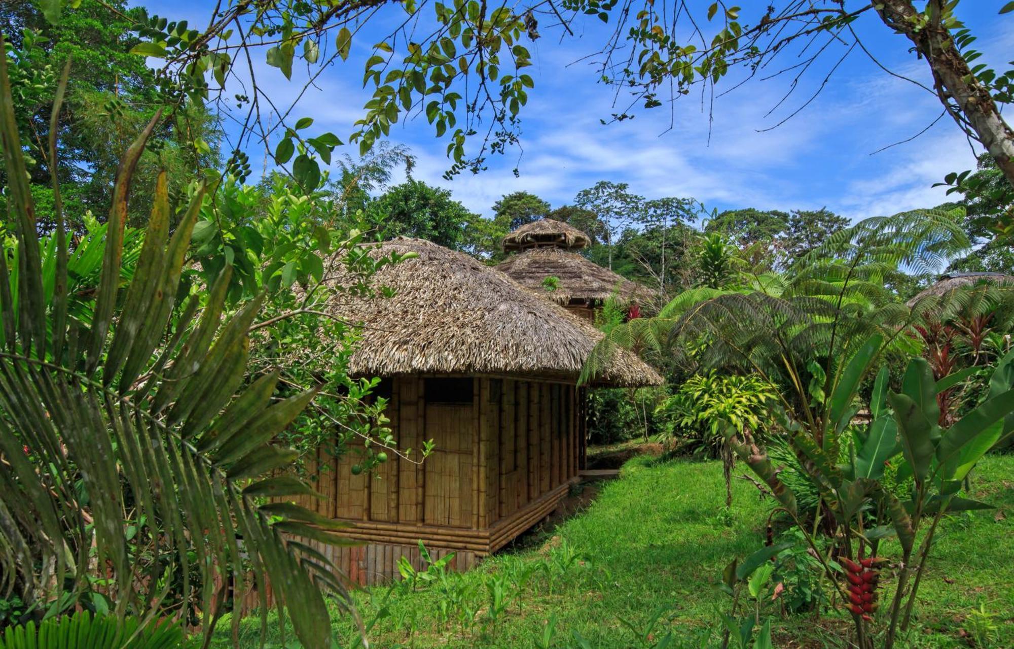 La Selva Eco-Lodge & Retreat Providencia Eksteriør billede