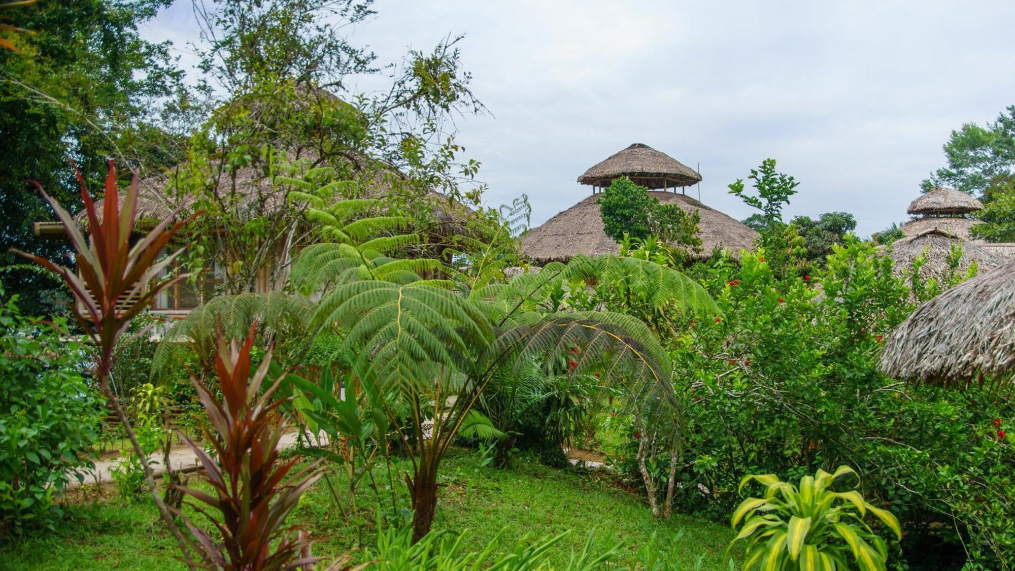 La Selva Eco-Lodge & Retreat Providencia Eksteriør billede