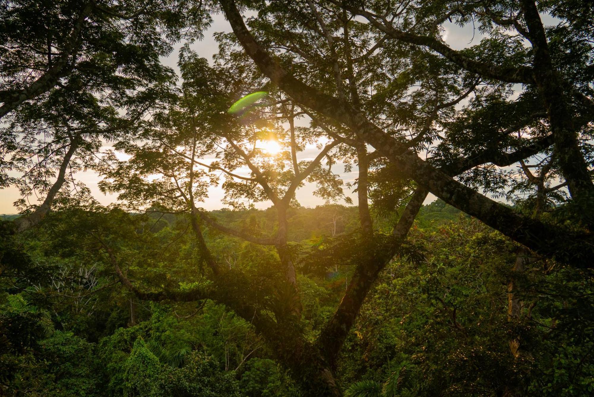 La Selva Eco-Lodge & Retreat Providencia Eksteriør billede