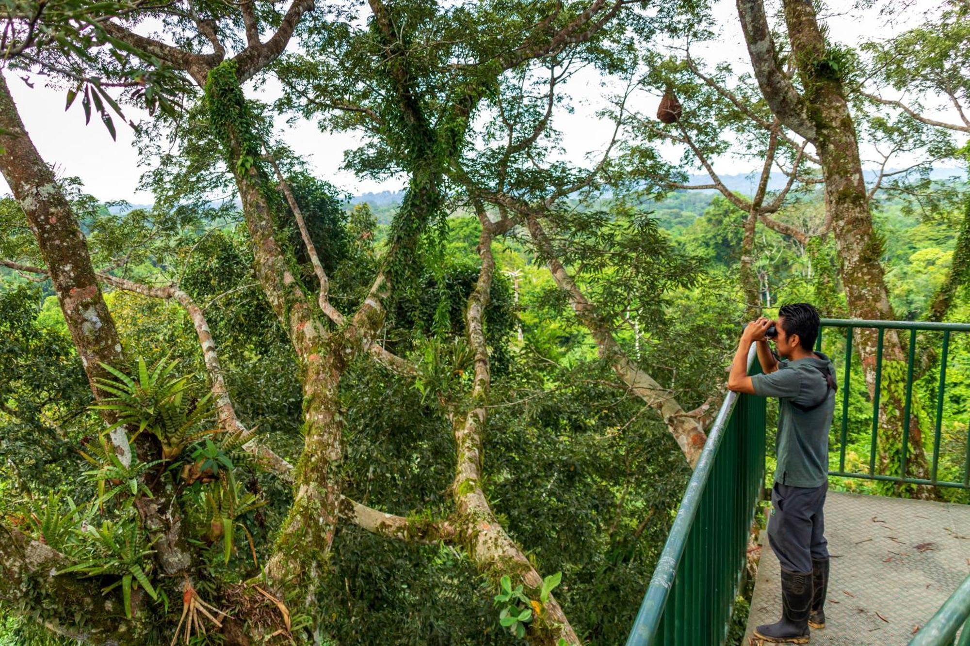 La Selva Eco-Lodge & Retreat Providencia Eksteriør billede