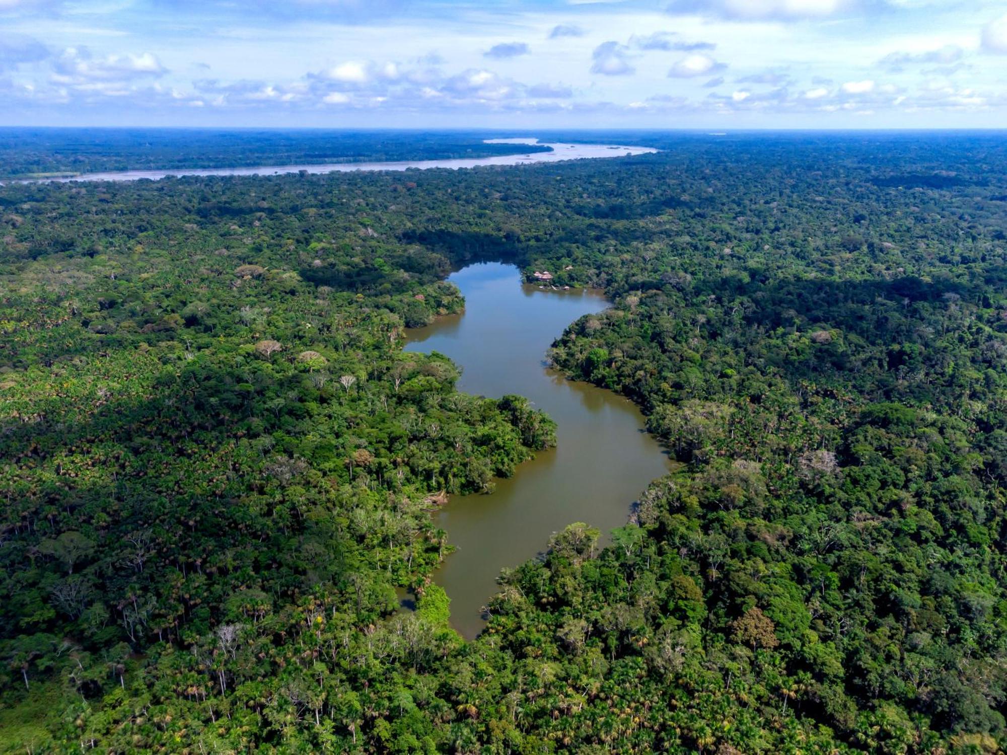 La Selva Eco-Lodge & Retreat Providencia Eksteriør billede